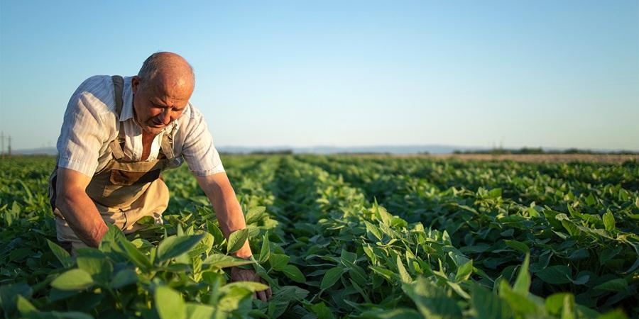 Sparkasse Banka ekonomsko osnaživanje