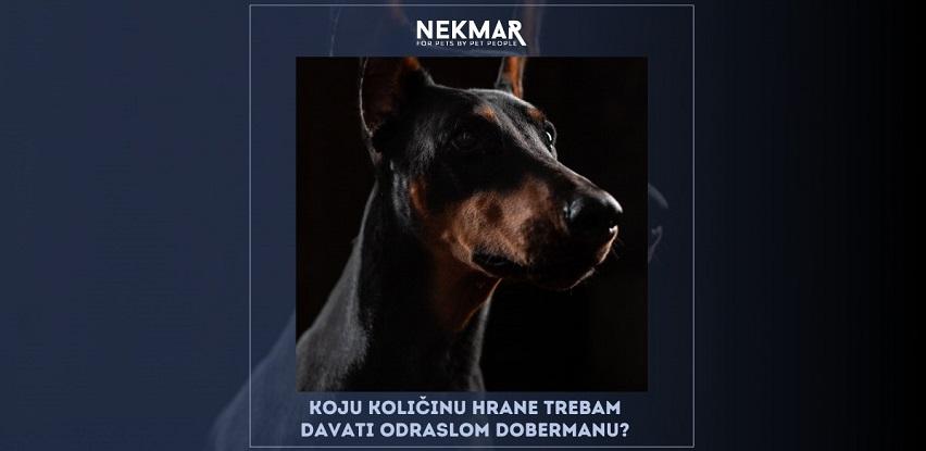 doberman ishrana nekmar hrana za pse