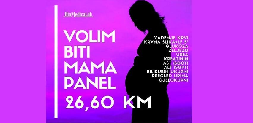 Volim biti mama panel