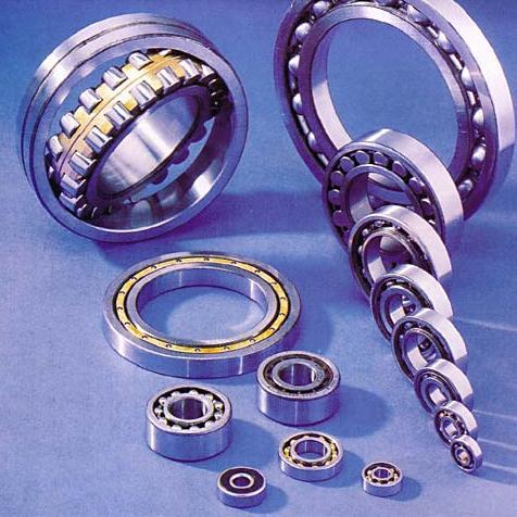 Elding: Generalni zastupnik i distributer Schaeffler Technologies GmbH