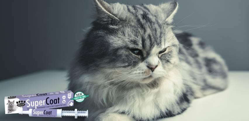 MIM COOP Supercoat Cat