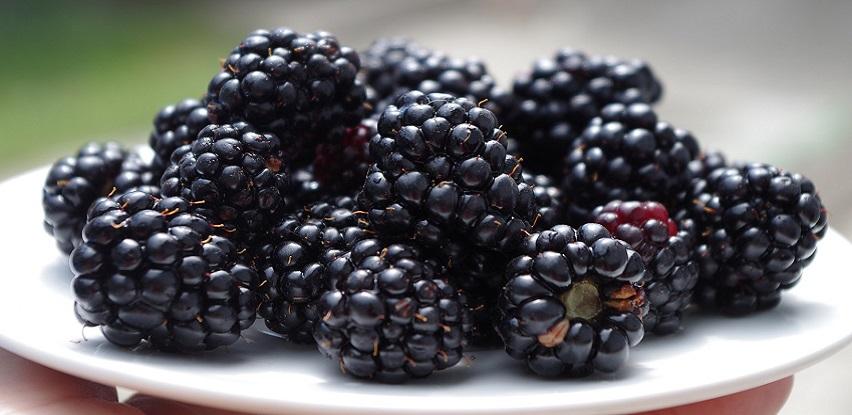 Fruit Organica: Ljubav nas pokreće!