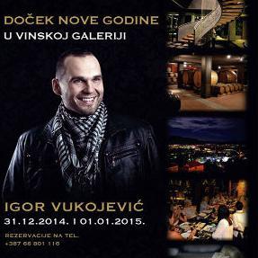 Nova godina u Vinskoj Galeriji "Vukoje"