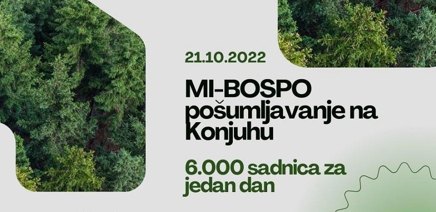 MI-BOSPO Tuzla pošumljavanje crnogoričnog drveća