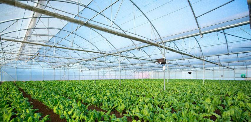 Specijalna ponuda folije za plastenike u vrijeme pripreme za proljetnu sadnju