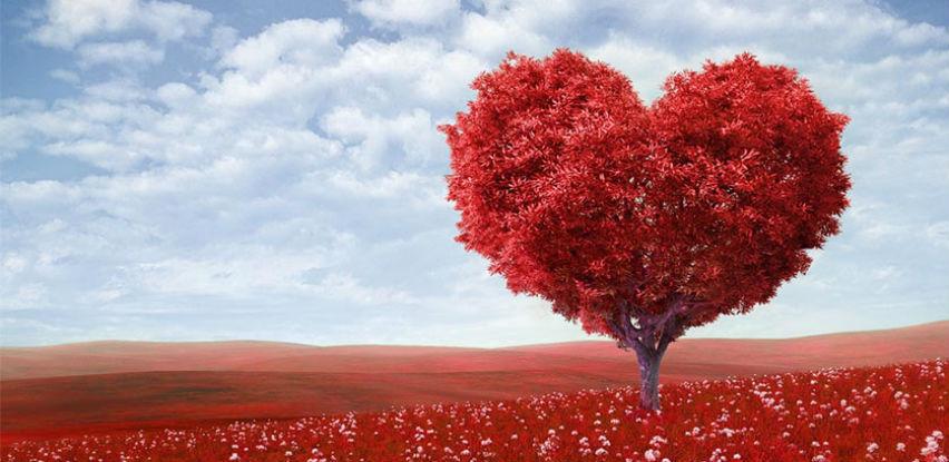 Wellness terapeut na kućnoj adresi za Valentinovo