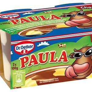 Novo iznenađenje za djecu: Dr. Oetker Paula puding!