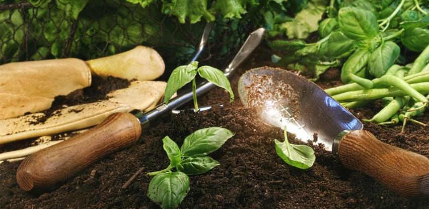 garden centar semina proljetna sezona sadnice sjeme krompir luk cvijeće lukovice sadni materijal