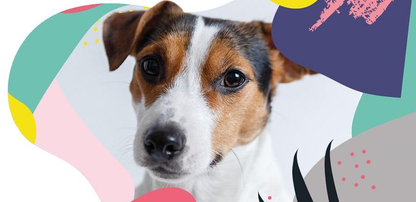 Mim Coop Dog natura antistres