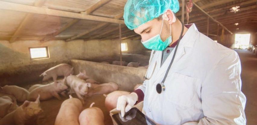 Instrukcija za klanje životinja u domaćinstvu za vlastite potrebe (svinjokolj)