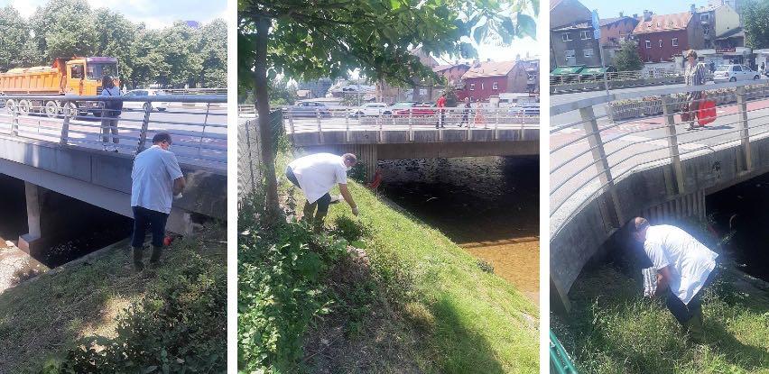 Izvršena deviperacija, zaštita od zmija na više lokacija na području općine