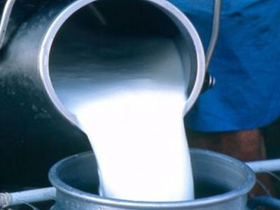 Nema izvoza domaćeg mlijeka dok se ne ispune strogi zahjevi EU