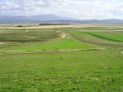 Image0