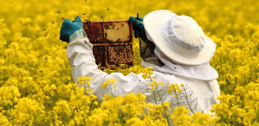 Loša godina za pčelare u TK, nadaju se izmjeni poticajne politike