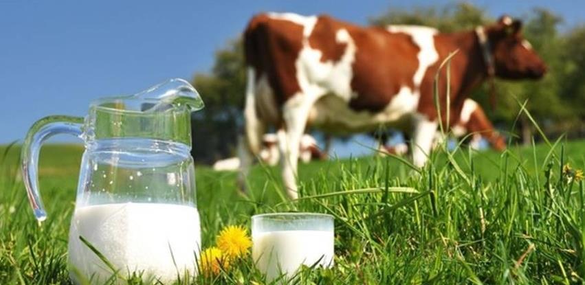 Proizvodnja mlijeka ruši rekord u USK