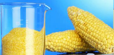 Hitno propisati nadležnosti inspekcija za službene kontrole GM hrane