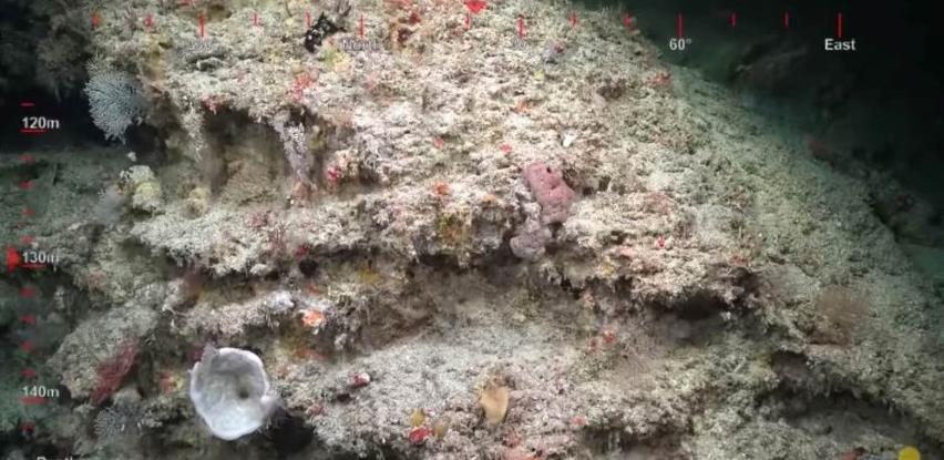 Australijski naučnici pronašli veliki, zdrav koralni greben na sjevernoj obali