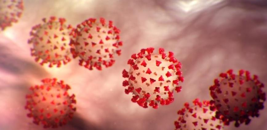 Prošlo je već pet mjesecI: Šta su naučnici do sada otkrili o koronavirusu?