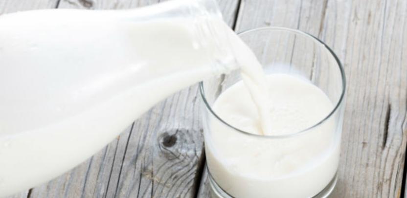 Mlijeko i mliječni proizvodi iz BiH na tržištu EU