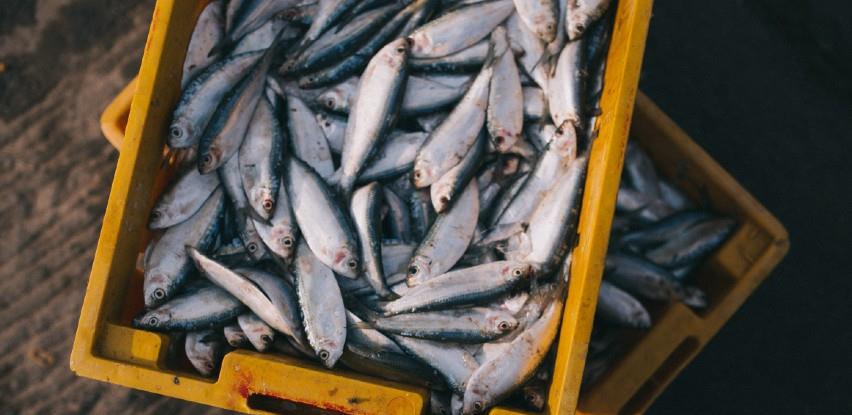 Britanski ribari nezadovoljni dogovorom sa EU