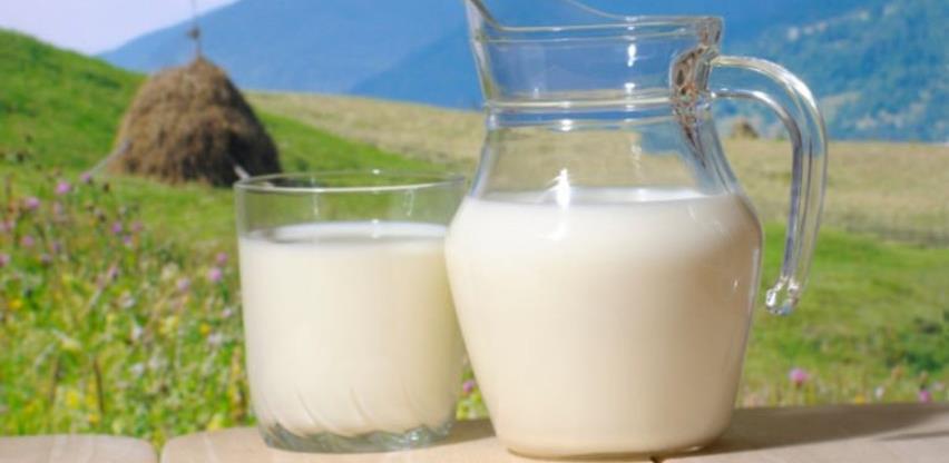 Proizvodnja kravljeg mlijeka u BiH prošle godine iznosila oko 620,84 mil. litara