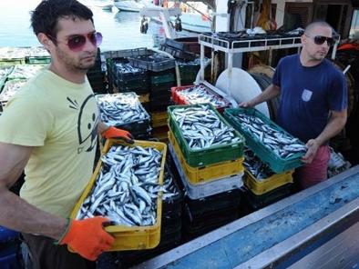 Izvoz u padu 40 posto: Riba gubi tržišnu bitku