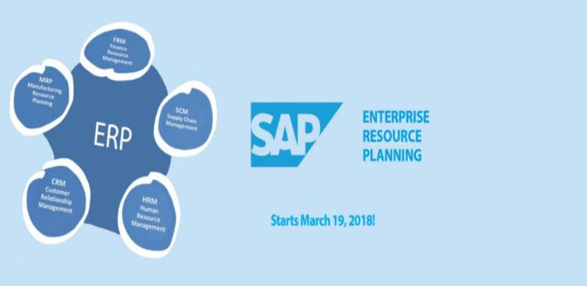 SAP Enterprise Resource Planning