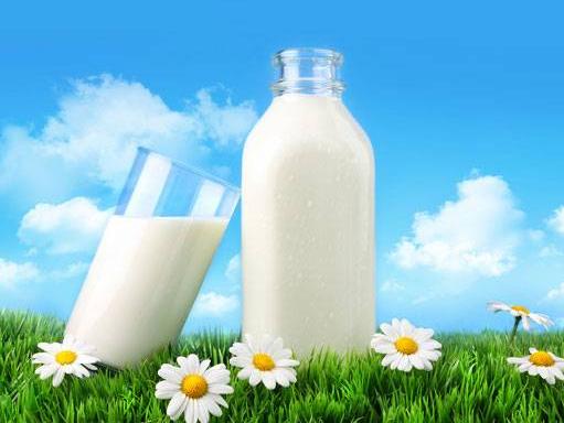 Uvoz proizvoda od mlijeka: Zapelo na 'Republici' Kosovo