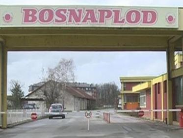 Raspisan peti oglas za prodaju 'Bosnaploda'