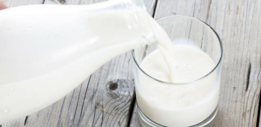 Ograničeni podsticaji guše razvoj mljekarstva
