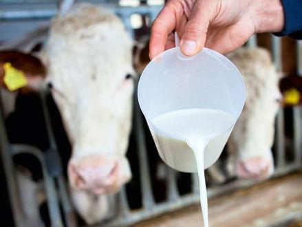 Ministarstvo mljekarima duguje 17,7 miliona KM