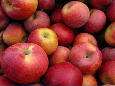 Na ruskom tržištu raste potražnja za jabukama iz BiH
