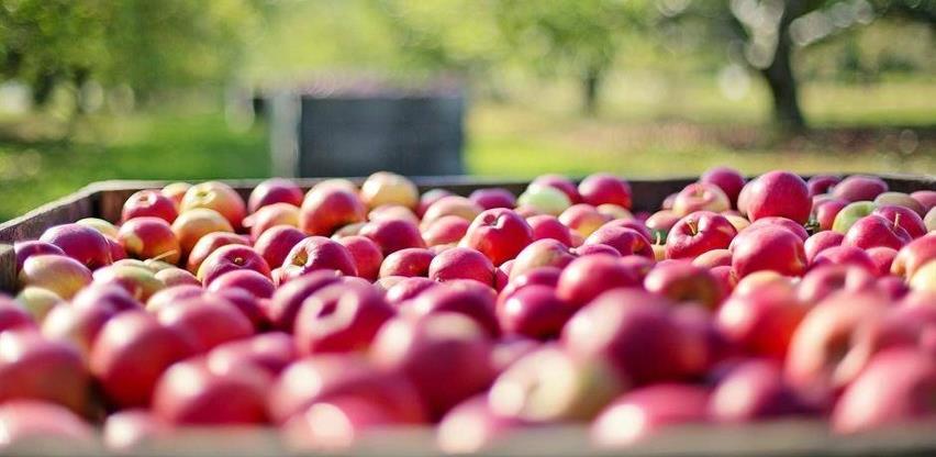 EU zabranila uvoza voća tretiranog insekticidom klorpirifosom