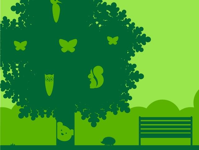 FSC certifikacijom do održivog upravljanja šuma u BiH