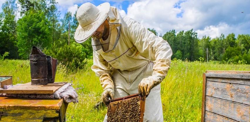 Vlada Republike Srpske utvrdila je Zakon o izmjenama i dopunama Zakona o pčelarstvu