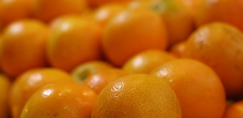 Fitosanitarna inspekcija Republike Srpske zabranila uvoz citrusa iz Italije