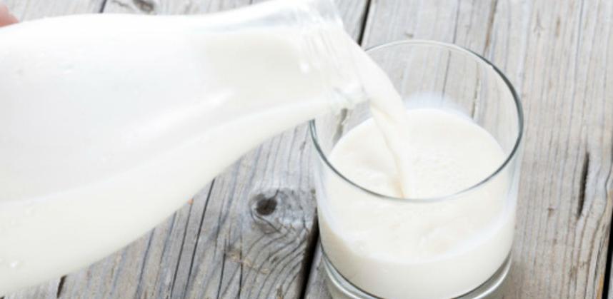 Sektor mljekarstva jedan je od vodećih izvoznih sektora u BiH