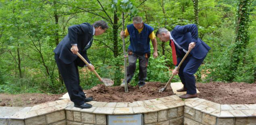 Ambasadori Japana, Poljske, Mađarske i Slovačke zasadili svoja stabla lipa