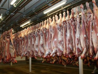U Tursku ove godine izvezeno 6.100 tona mesa