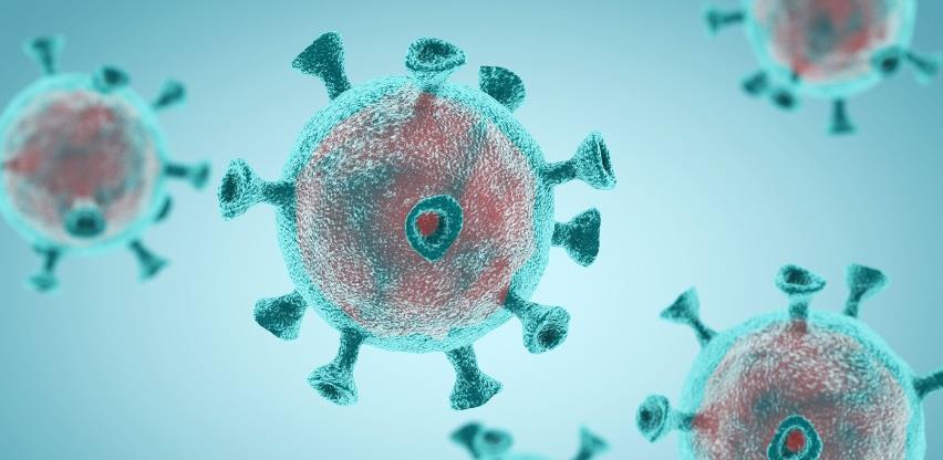 Epidemiološka situacija u BiH: Potvrđeno 857 zaraženih koronavirusom