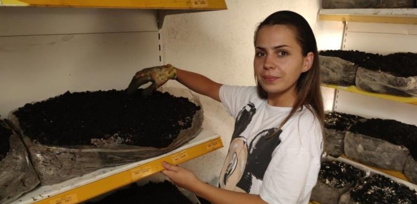 Ana se iz Austrije vratila u BiH i pokrenula proizvodnju gljiva - šampinjona