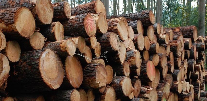 Ukupna proizvodnja šumskih sortimenata veća za 20,29 odsto