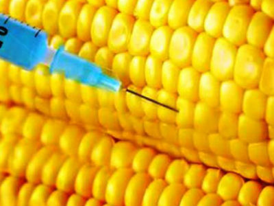 GMO: Velika prijetnja ulazi na vrata BiH