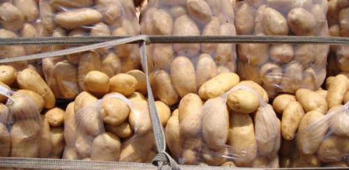 U RS zabranjen uvoz za još šest pošiljki sjemenskog krompira