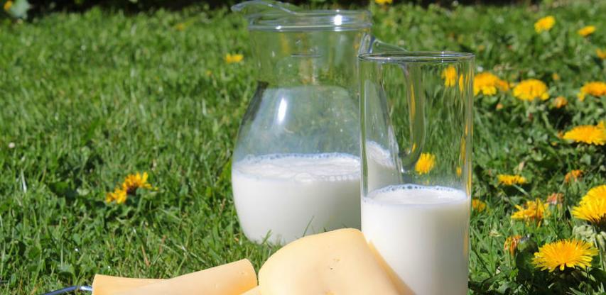 Jesu li light mliječni proizvodi zdraviji?