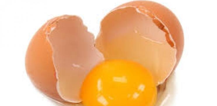 EU saziva hitni sastanak posvećen krizi sa zatrovanim jajima