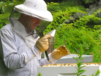 Zbog loše pčelarske godine na tržištu će biti sve više krivotvorenog meda