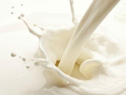 Udruženje mljekara: Spasiti proizvodnju mlijeka od propadanja