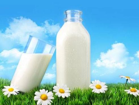 Do daljnjeg suspendovan izvoz mlijeka iz BiH u EU