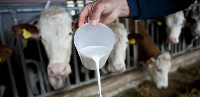 Proizvodnja mlijeka u USK manja za 1,5 miliona litara